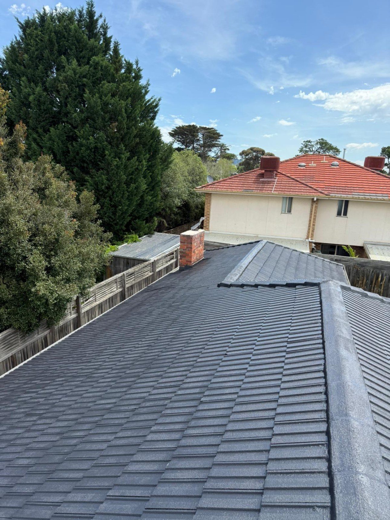 Freshly coated tile roof